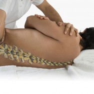 Soulager les douleurs du dos, des articulations et des muscles